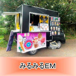 沖縄移動販売 沖縄移動販売車 キッチンカー フードトラック フードカー